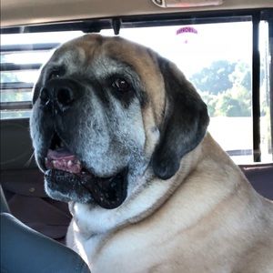 Meet your Posher, Abbie